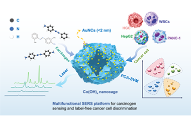 AuNCs@Co(OH)x nanocage-based SERS platform for carcinogen detection and cancer cell classification 2026.101039